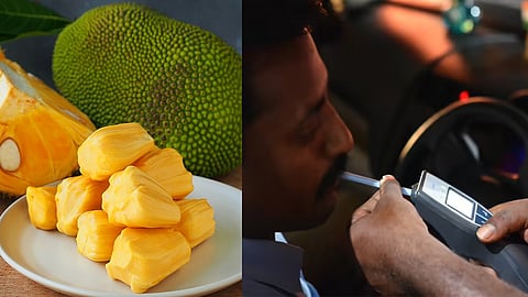 Can any compound of Jackfruit evade breathalyser test