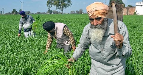 Punjab Farmers