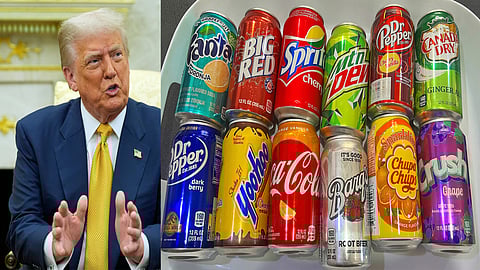 US Soft Drink Ban in Punjab