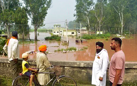Floods devastate Punjab villages and farmlands, leaving thousands in urgent need of rescue and relief