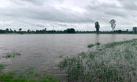 If you want to contribute to Punjab floods, this is the right way – know the details of CM Relief Fund