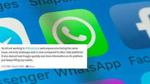 WhatsApp Web Scroll Down