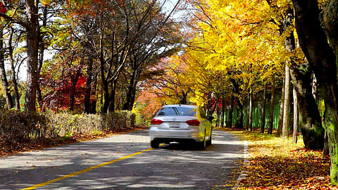 Representative image for Punjab weather in October