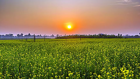 Weather in Punjab 