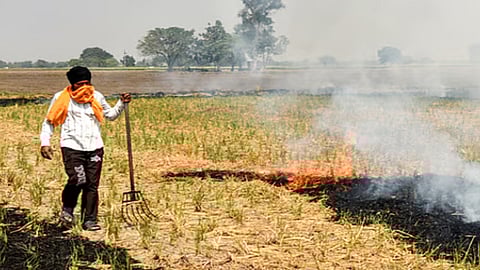 Stubble Burning Representative Image