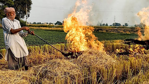 Stubble Burning