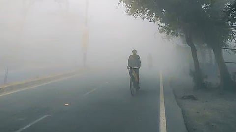 Punjab Winter Representative Image