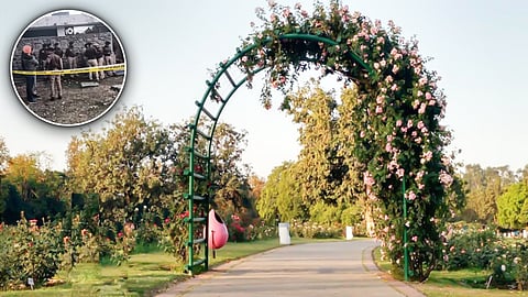 Chandigarh Rose Garden Murder Case