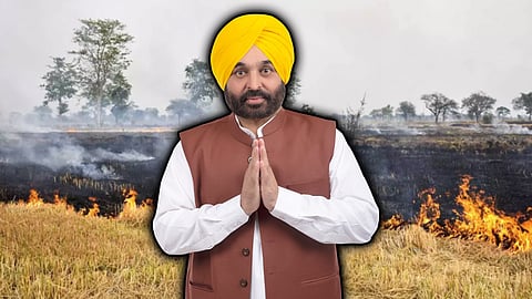 Farmers drive stubble burning down by 85% in Punjab