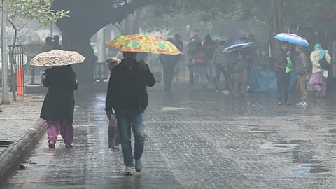 Representative image for Punjab winter rainfall