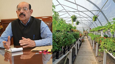 Punjab farmers to get up to 40% subsidy on new gardens