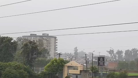 Punjab's AQI improves after rain 