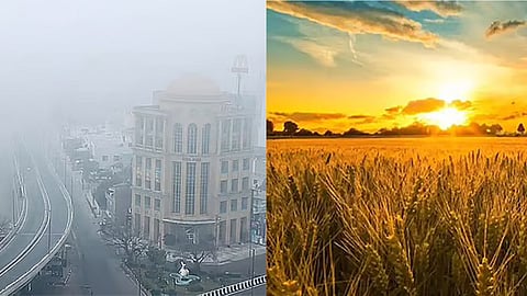 Will cold weather return to Punjab?