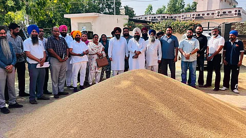 Deputy Speaker Rouri visits grain markets 