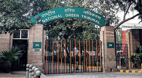 NGT issues notice to Punjab Chief Secretary