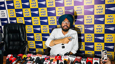 AAP hails Punjab Police for dismantling major cyber terror network