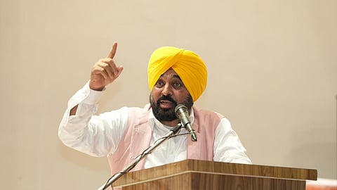 Punjab ramps up canal irrigation, recharge projects