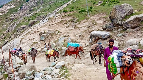 Annual Amarnath Yatra