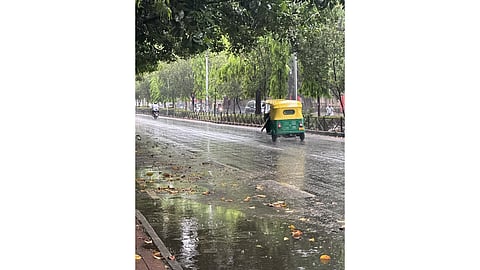 rainfall in Punjab