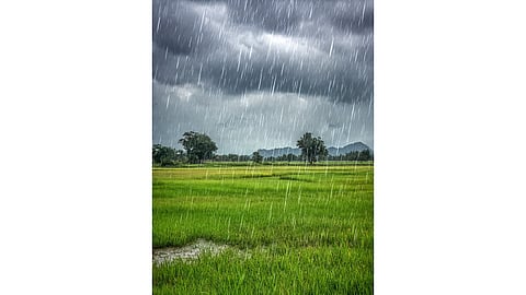 Rains in Punjab