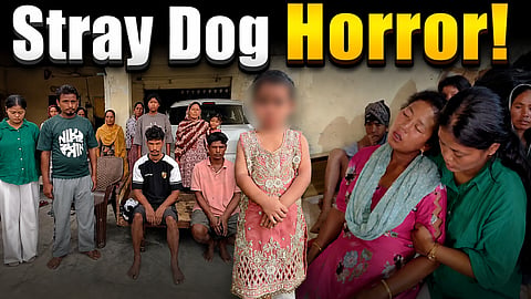 Minor girl attacked by stray dogs  