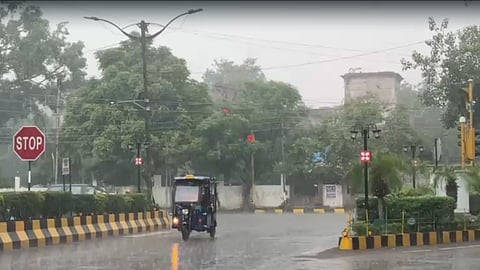 Rainfall in Jalandhar