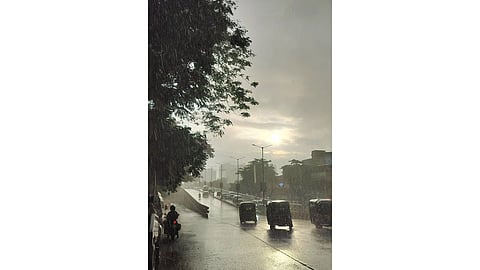 rainfall in Punjab