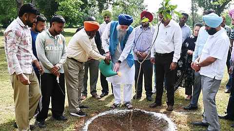 S.Kultar Singh Sandhwan planting fruit tress