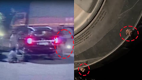 Visuals of theft and puncture