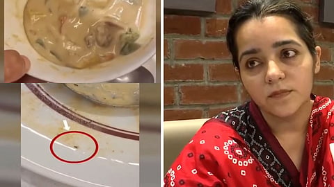 Insects allegedly found in Thai Curry