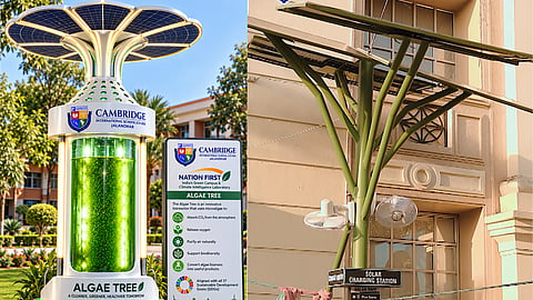 Asia’s first Algae tree with 36 green installations 