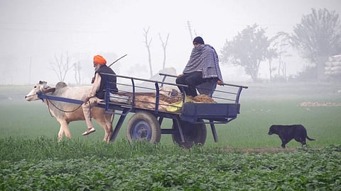 Will summer make a brief comeback in Punjab 