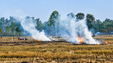 stubble-burning fires