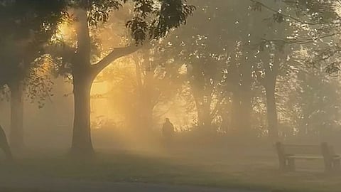 Jalandhar fog