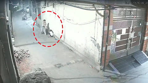 5-year-old girl assaulted