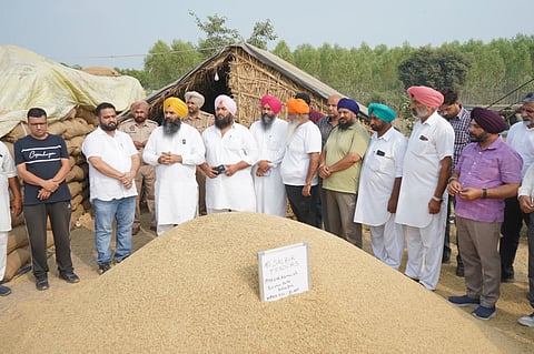 Grain markets in Garhshankar