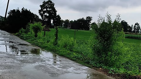 When will thunderstorms hit Punjab 