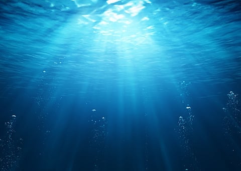 Contamination levels in North Sea declined significantly since 1980s