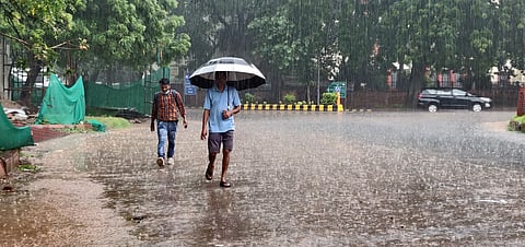 Extreme rainfall days harm economy, says new research