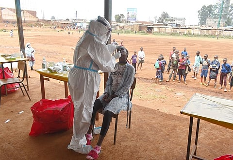 'Covid pandemic reveals fragility, vulnerability of food systems in Africa'