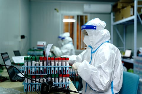 Global Covid caseload tops 504 mn