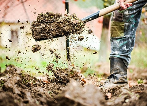 TN archaeology dept expects to excavate palace of Rajendra Chola