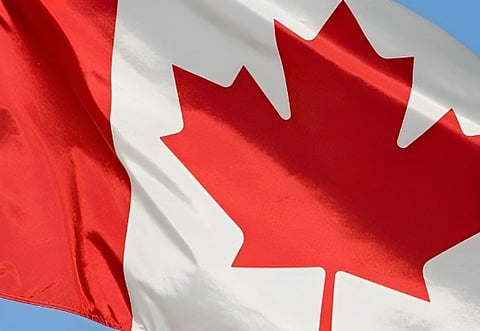 Canada's allure: Impacting Punjab's technical colleges with 55% seats vacant