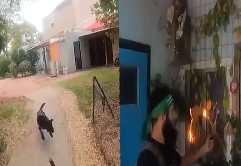 Hamas militants burn Israeli family's house, shot dog who tried to stop them in chilling video