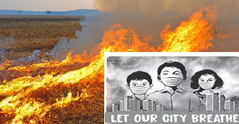 Punjab's multiple district’s AQI go unhealthy amid stubble burning row; to hit Haryana-Delhi soon