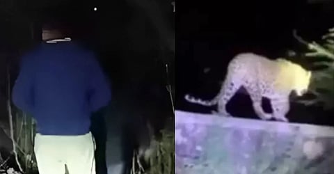 Ludhiana residents terrorised by a leopard in the Centra Green apartments; captured on CCTV