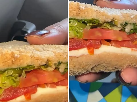Indigo flight passengers to Mumbai from Delhi find insect in burger on board; Video viral