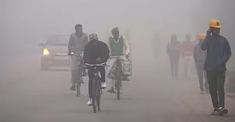 Cold conditions to continue in parts of Punjab, Haryana, UP, Raj for next two days: IMD
