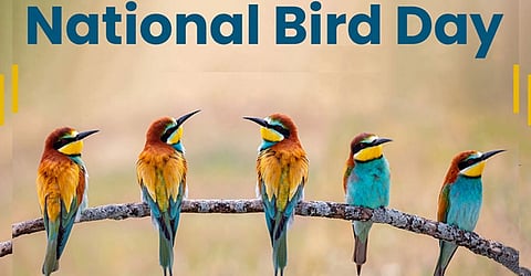 Exploring the Avian Wonders: Top 10 Bird Sanctuaries in India You Must Visit on Bird Day