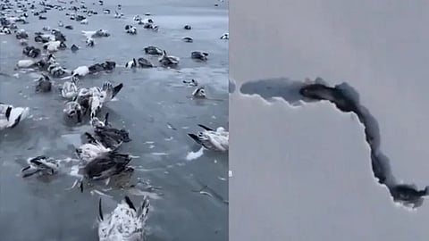 China Xinjiang Weather, Xinjiang China, China Weather